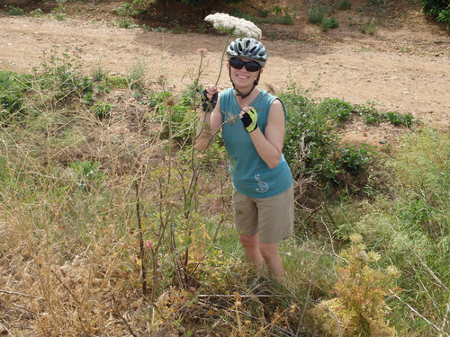 For Scale, this is a big Umbra Flower and Terry Struck.